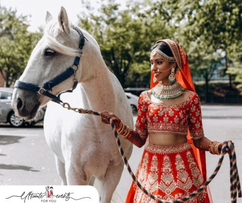 Destination-wedding-in-udaipur